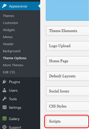 In WordPress go to Theme Options -> Scripts