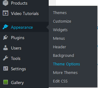 In WordPress go to Appearance -> Theme Options