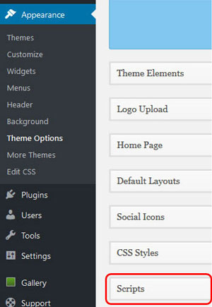 In WordPress go to Theme Options -> Scripts